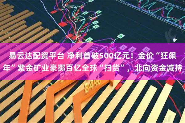 易云达配资平台 净利首破500亿元！金价“狂飙年”紫金矿业豪掷百亿全球“扫货”，北向资金减持