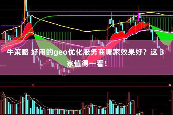 牛策略 好用的geo优化服务商哪家效果好？这 3 家值得一看！
